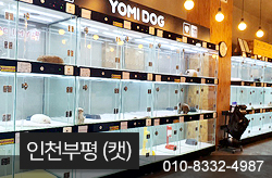 샵이미지