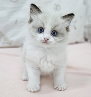 이미지